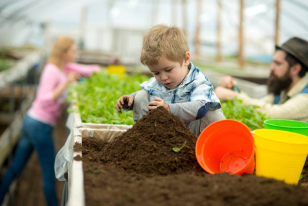 纯净的土壤。纯土壤富集。小男孩用纯净的土壤工作。在温室的纯净土壤。园艺