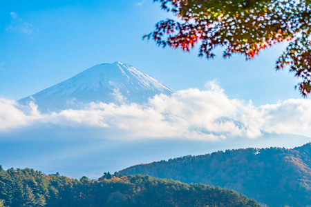 日本大林湖边枫叶树的富士山美景