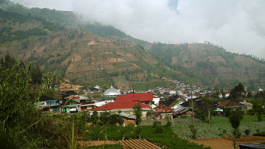 亚洲小镇与清真寺在山区的农业土地，水稻梯田。 有农田的山，稻田的村庄，有庄稼的树。 山坡上的农田。 热带景观