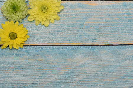 s day. Yellow and green flowers on the blue wooden background. V