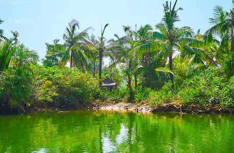 小尼帕小屋隐藏在丛林灌木丛中，位于缅甸的康伊河上。