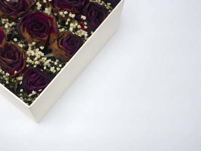白色背景复制空间礼品盒中的干玫瑰。