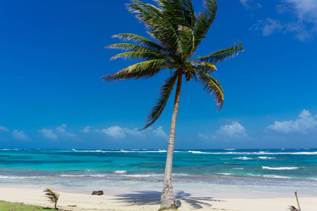 美丽的玉米岛海滩尼加拉瓜绿松石水和清澈的天空