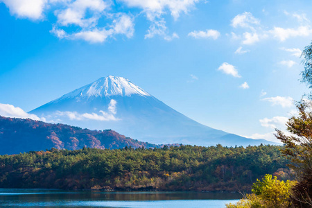 日本大林湖边枫叶树的富士山美景