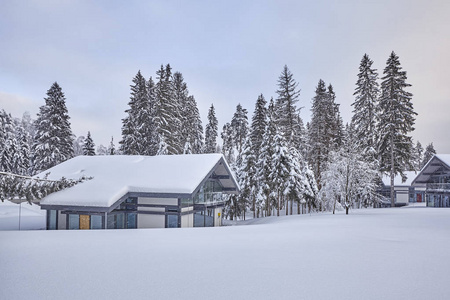 冬天森林里覆盖着雪的木制芬兰房子。 芬兰俄罗斯