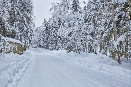 冬天森林里覆盖着雪的木制芬兰房子。 芬兰俄罗斯