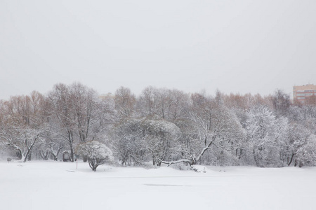 俄罗斯的冬天，白雪皑皑