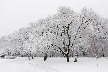 俄罗斯的冬天，白雪皑皑