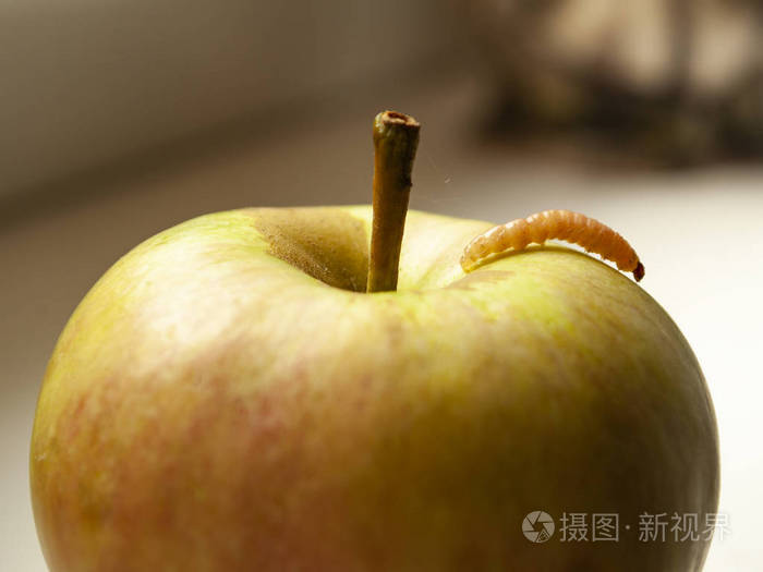 小虫在一个绿色的苹果上爬行