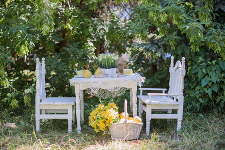 白色椅子与桌台立场在庭院图片