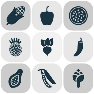 食物图标设置与根, 木瓜, 菠萝和其他辣椒元素。被隔绝的向量例证食物图标