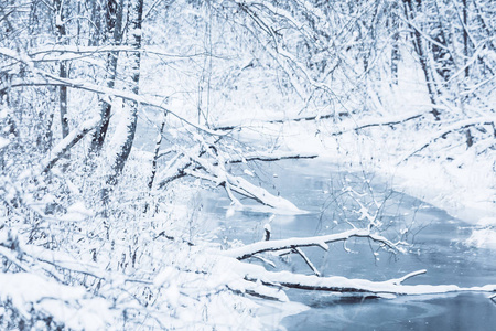 冬天, 雪, 坚硬的光, 森林, 河