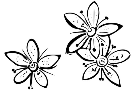 黑白矢量素描绽放美丽的花朵