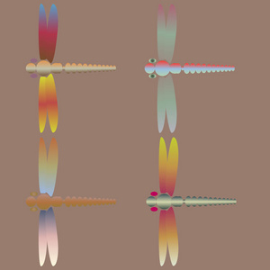 可爱的蜻蜓装饰彩色无缝图案