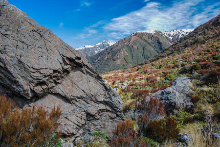 s Pass National Park, Canterbury, South Island, New Zealand