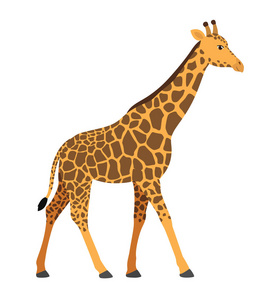 长颈鹿在一个动画片平的样式在白色背景向量