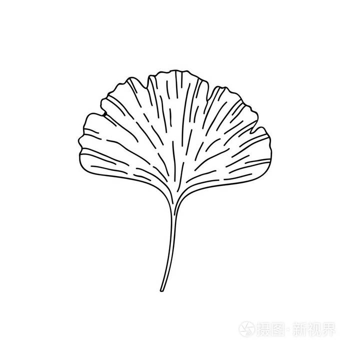 银杏叶涂鸦图标