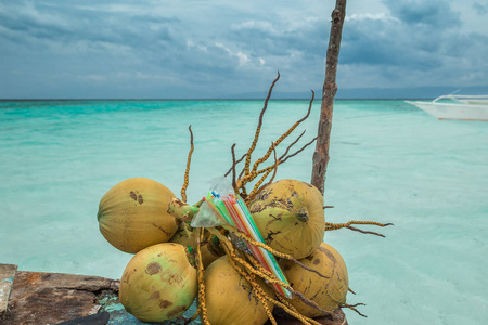 马尔代夫蔚蓝海背景上的热带新鲜椰子