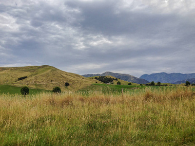 新西兰南岛凯古拉附近的风景
