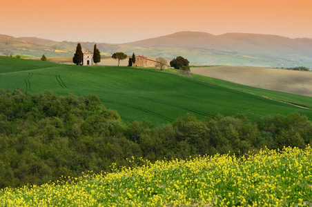 Orcia in Tuscany. Yellow rapeseed flowers with the famous Chapel