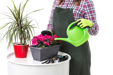 女专业园丁或花匠穿着围裙，拿着花在锅里，园艺工具孤立在白色背景上。 复制空间