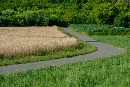 夏天的沥青乡村公路