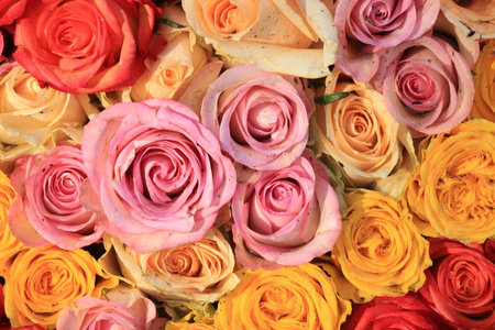 花式婚礼装饰中的粉红色黄色和橙色混合玫瑰