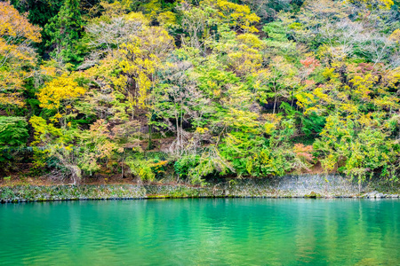 秋季日本京都，美丽的山河，有枫叶树和船绕湖而行