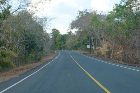 曲线沥青道路视图