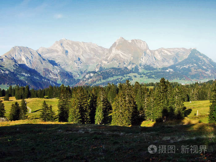 瑞士圣加伦州丘尔弗林登山脉下高原上的常绿乔木