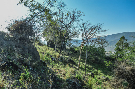 山里的路