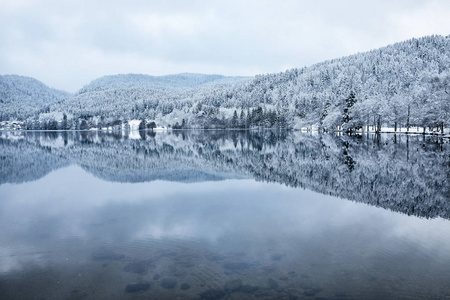 长山湖冬季雪林