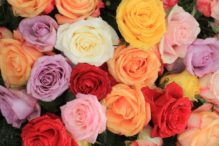 花式婚礼装饰中的五彩玫瑰照片