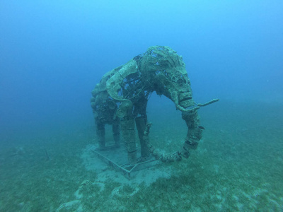 埃及达哈布附近红海一头大象的水下雕像