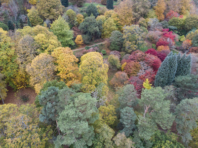 美丽的空中无人机景观形象，令人叹为观止，五彩缤纷，充满活力，秋天，英国乡村景观