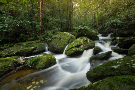 岩溪山河瀑布绿林山水自然植物热带雨林丛林小瀑布带岩绿摩斯清晨野生景观热带森林绿树
