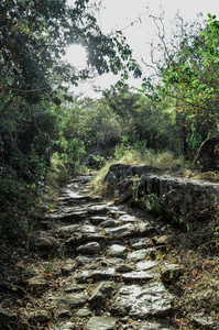 山里的路