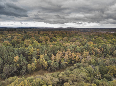 s eye view drone landscape image during Autumn Fall of vibrant f