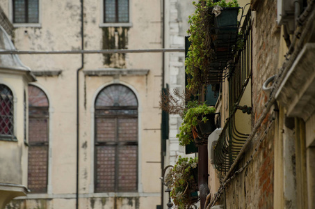 意大利威尼斯犹太人聚居区风景如画的墙壁和窗户