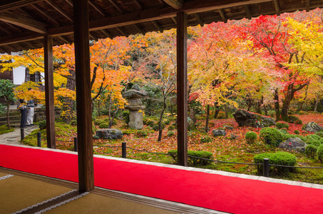 日本京都恩科吉寺秋季日本花园彩枫叶美观旅游地标季节和景观概念