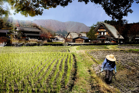 日本白川和冈山的历史村落