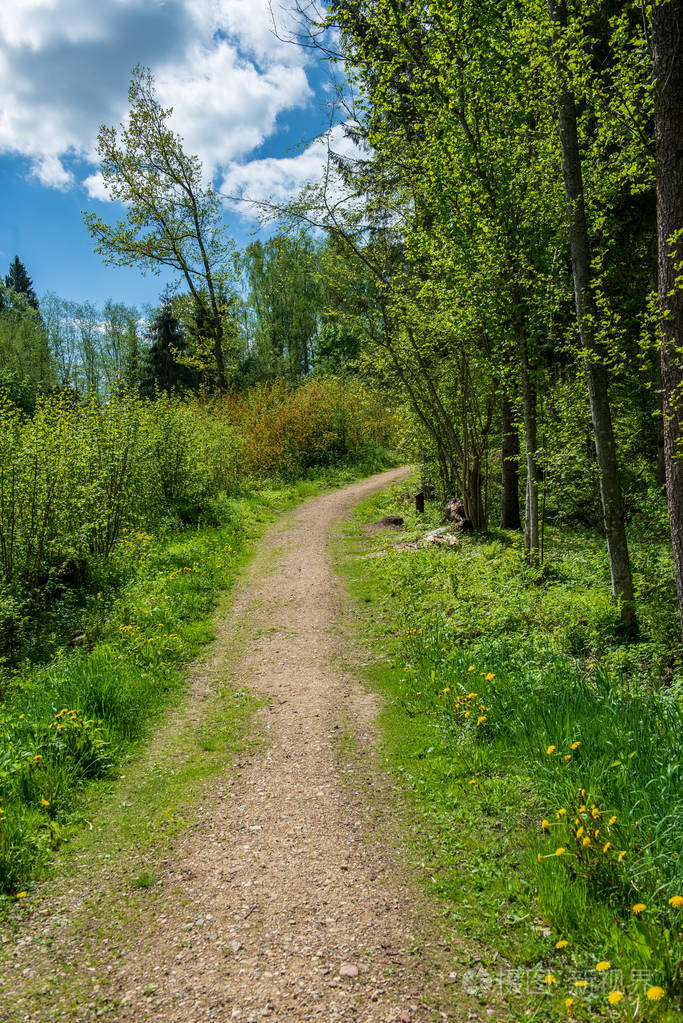 春天的空乡村道路照片-正版商用图片172smm-摄图新视界