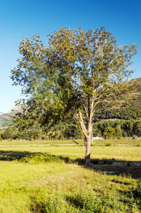 在一个阳光明媚的日子里，西班牙北部的欧洲山峰上的山脉在阿斯图里亚斯省。