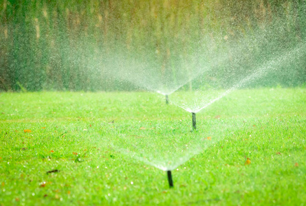 自动草坪喷头浇水绿草。 自动系统喷头。 花园灌溉系统浇水草坪。 可调头洒水系统的节水或节水。