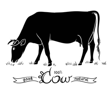孤立的牛。 牛的黑白轮廓