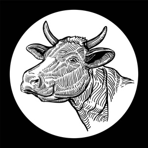 牛头. 用图形样式绘制的手. 孤立于白色背景插画