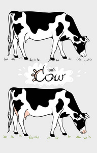 牛。 牛在吃草。 奶牛隔离的一组元素