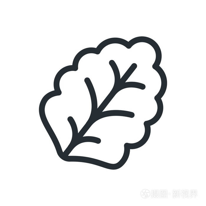 叶生菜植物扁线笔画图标象形文字
