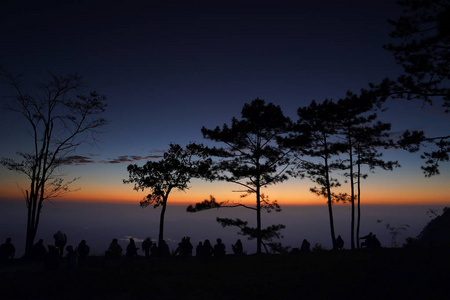 s silhouette surrounded by pine trees  Phu kradueng Thailand 