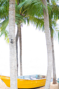 椰子棕榈和古老的红色游船在白色沙滩上。在有棕榈树的海滩上的渔船